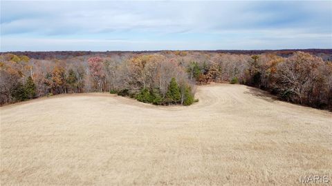 Tiny photo for 3 Polston Ln, Marthasville, MO 63357 (MLS # 25077445)