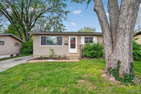 Photo of 253 Elmdale Drive, Ferguson, MO 63135 (MLS # 26022716)
