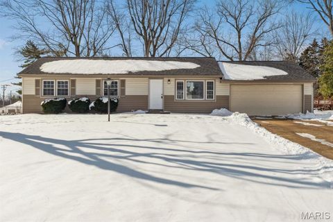 10008 Meadowfield Lane St Louis MO 63128