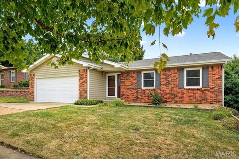 Photo of 12122 Beckford Estates Drive, Maryland Heights, MO 63043 (MLS # 25070494)