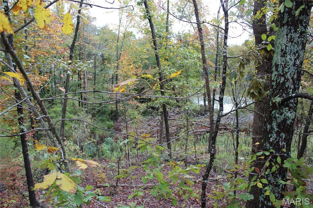 0 Tomaro Trail lot 35