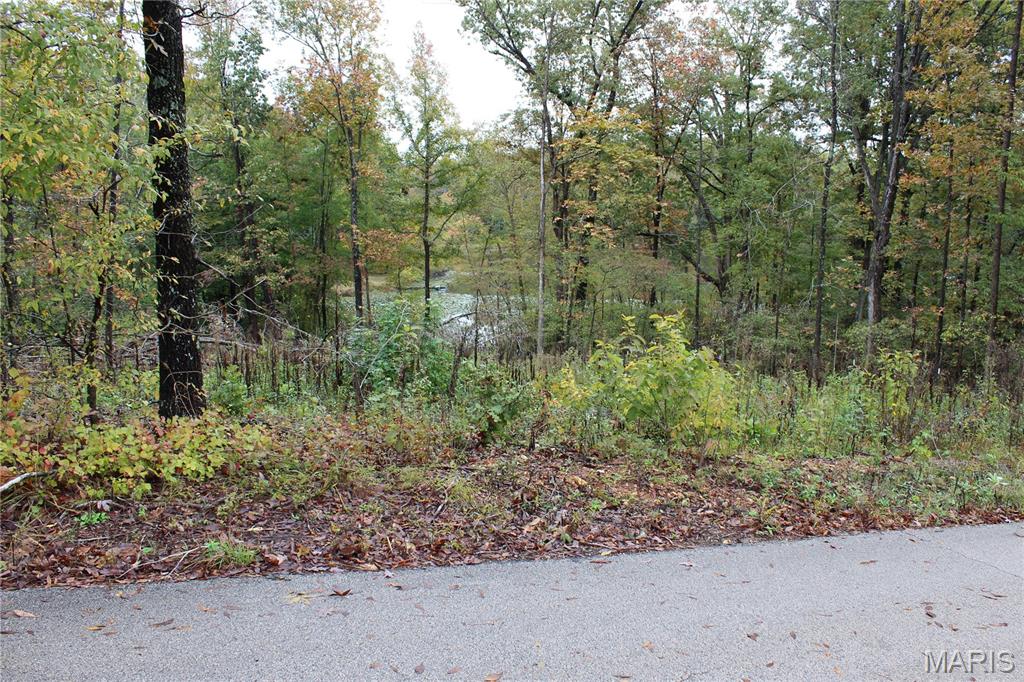 0 Tomaro Trail lot 35