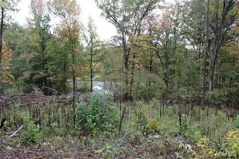 0 Tomaro Trail lot 35 Poplar Bluff MO 63901