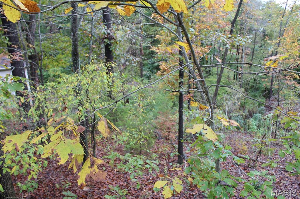 0 Tomaro Trail lot 35