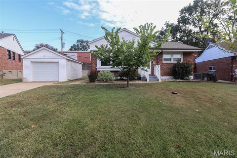 4102 Upton Court St Louis MO 63116