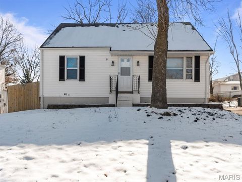Photo of 10974 Three Court Drive, St Louis, MO 63123 (MLS # 25079077)