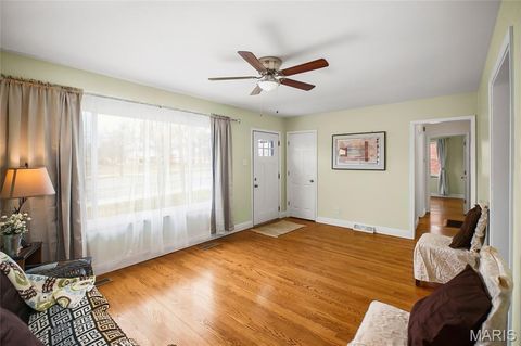 Tiny photo for 11344 Manchester Road, Kirkwood, MO 63122 (MLS # 26024458)