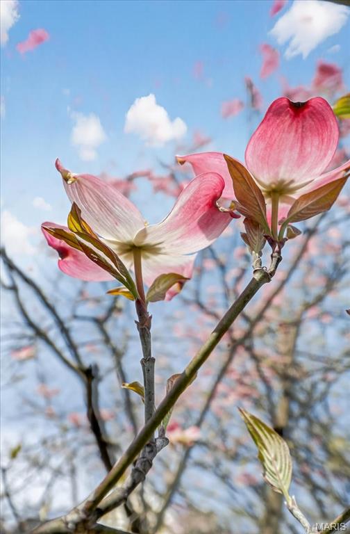 Tuxedo Park - Residential