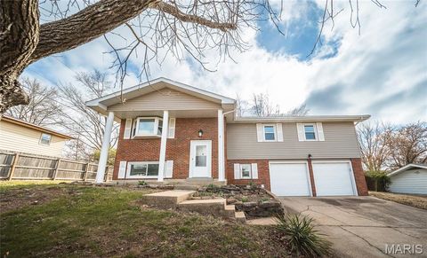 Photo of 1408 Scenic Drive, Rolla, MO 65401 (MLS # 26016982)