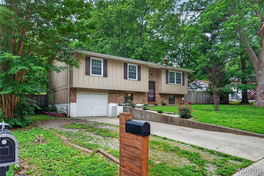 Little Schumer - Residential