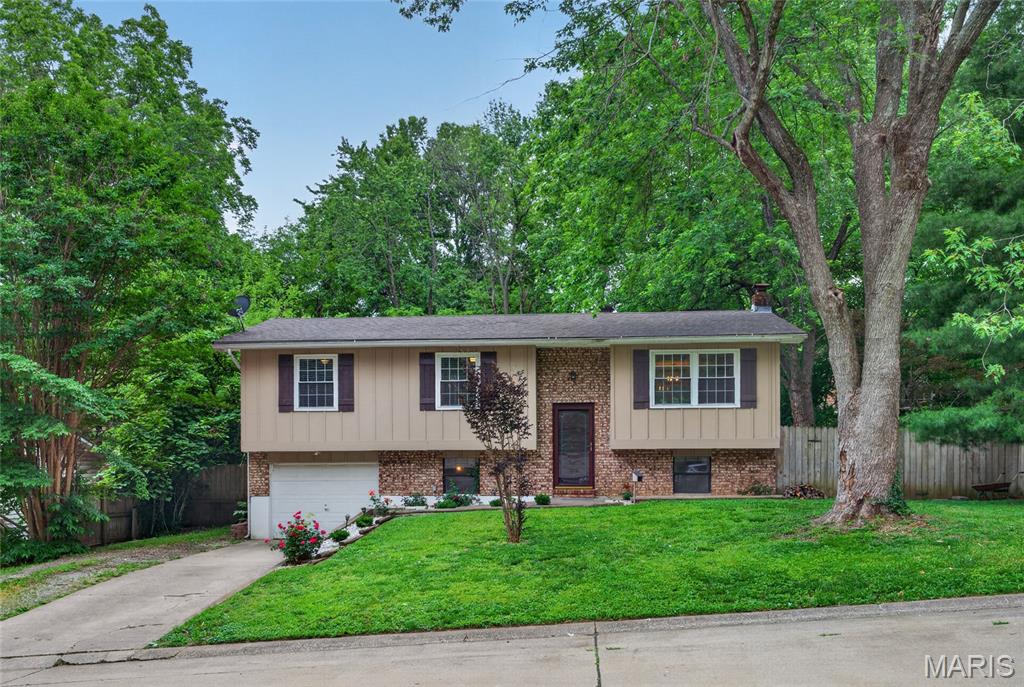 Little Schumer - Residential