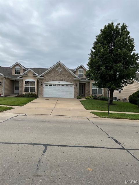 Photo of 807 Elaine Drive, OFallon, MO 63366 (MLS # 26031636)