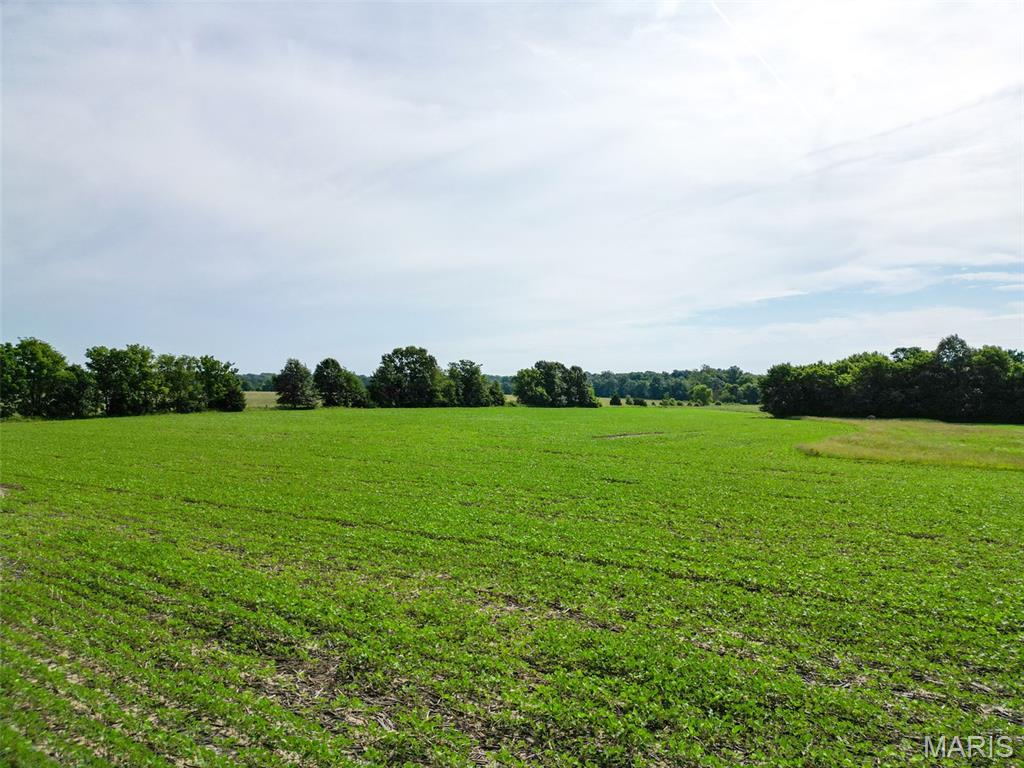 Photo of 27248 Stamer Road, Wright City, MO 63390 (MLS # 26057436)