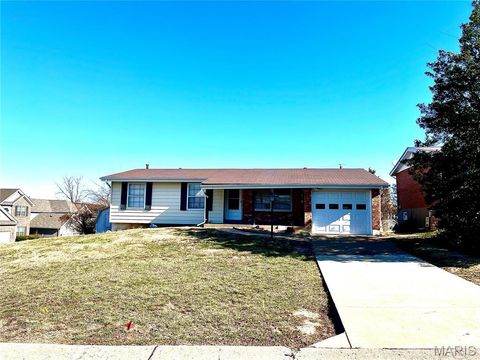 Photo of 3933 Mitchford Drive, Mehlville, MO 63125 (MLS # 26011131)