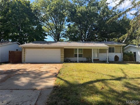 11015 Landseer Drive Hazelwood MO 63136