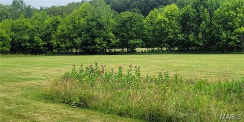 Tiny photo for 167 Carlton Point Drive, Wentzville, MO 63385 (MLS # 25076918)