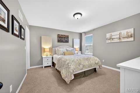 Tiny photo for 167 Carlton Point Drive, Wentzville, MO 63385 (MLS # 25076918)