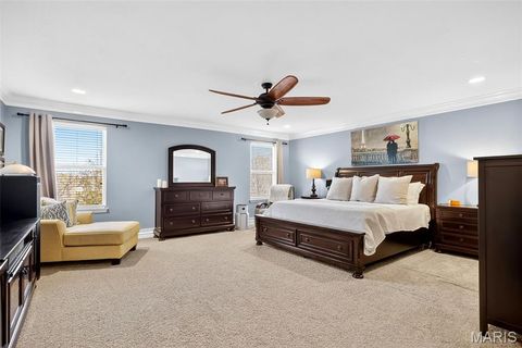 Tiny photo for 167 Carlton Point Drive, Wentzville, MO 63385 (MLS # 25076918)