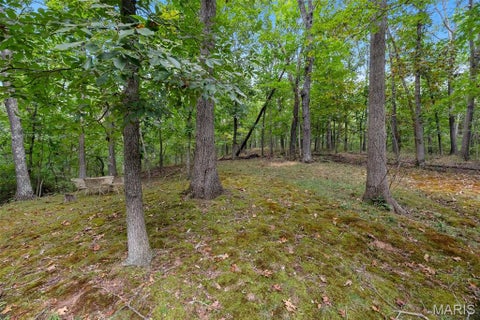 Tiny photo for 29 Rockwood Forest Valley, Wildwood, MO 63025 (MLS # 26065145)