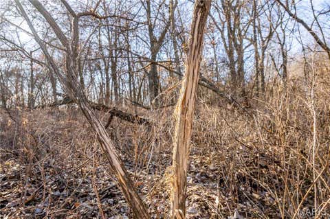 Tiny photo for 00 Hwy HH, Bowling Green, MO 63334 (MLS # 26029504)
