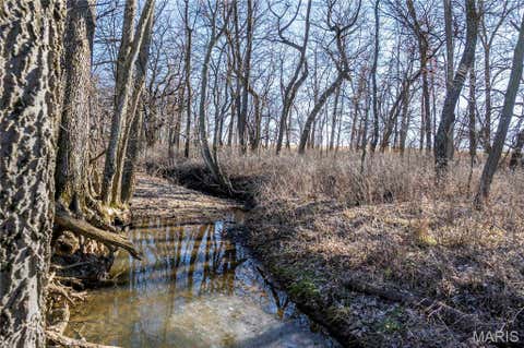 Tiny photo for 00 Hwy HH, Bowling Green, MO 63334 (MLS # 26029504)