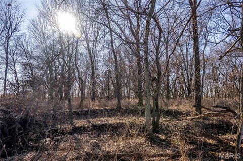 Tiny photo for 00 Hwy HH, Bowling Green, MO 63334 (MLS # 26029504)