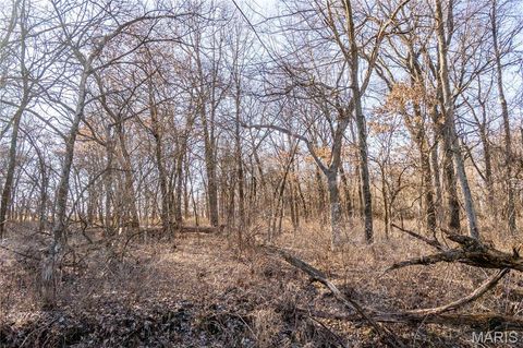 Tiny photo for 00 Hwy HH, Bowling Green, MO 63334 (MLS # 26029504)