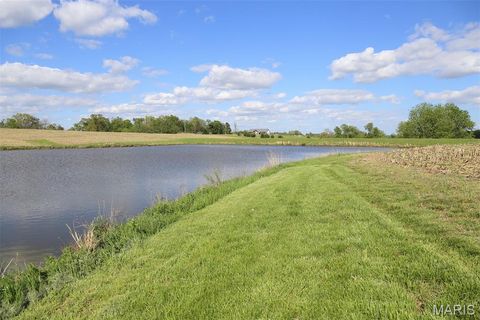 Tiny photo for 1770 Pcr 624, Perryville, MO 63775 (MLS # 26023897)