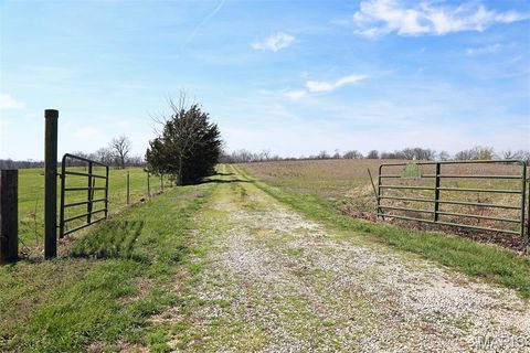 Tiny photo for 1770 Pcr 624, Perryville, MO 63775 (MLS # 26023897)
