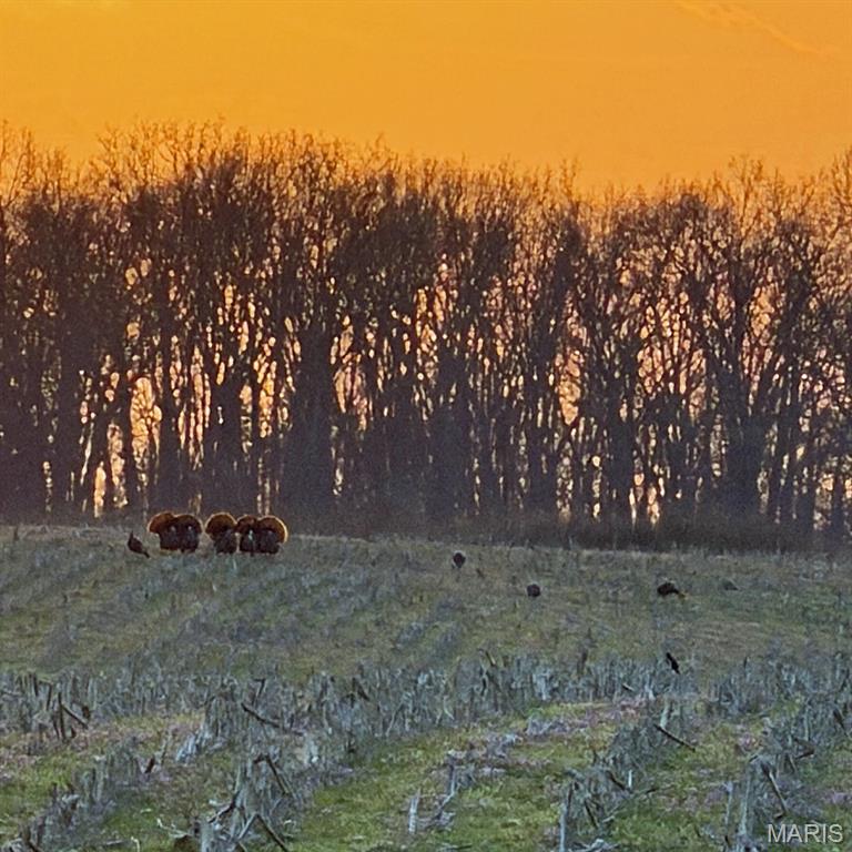 n/a - Farm