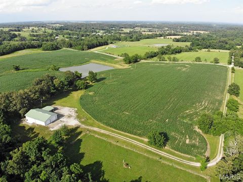 Tiny photo for 1770 Pcr 624, Perryville, MO 63775 (MLS # 26023897)