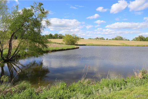 Tiny photo for 1770 Pcr 624, Perryville, MO 63775 (MLS # 26023897)