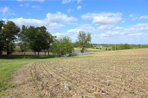 Tiny photo for 1770 Pcr 624, Perryville, MO 63775 (MLS # 26023897)