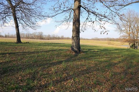 Tiny photo for 1770 Pcr 624, Perryville, MO 63775 (MLS # 26023897)