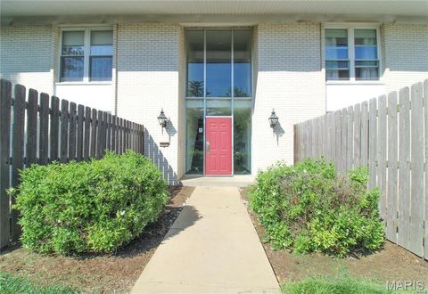 Photo of 10407 Briarbend Drive #3, St Louis, MO 63146 (MLS # 25080312)