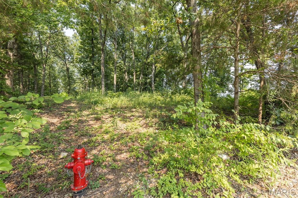 3225 Carron Road