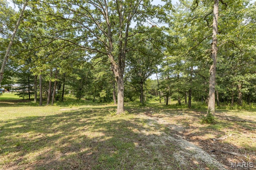 3225 Carron Road
