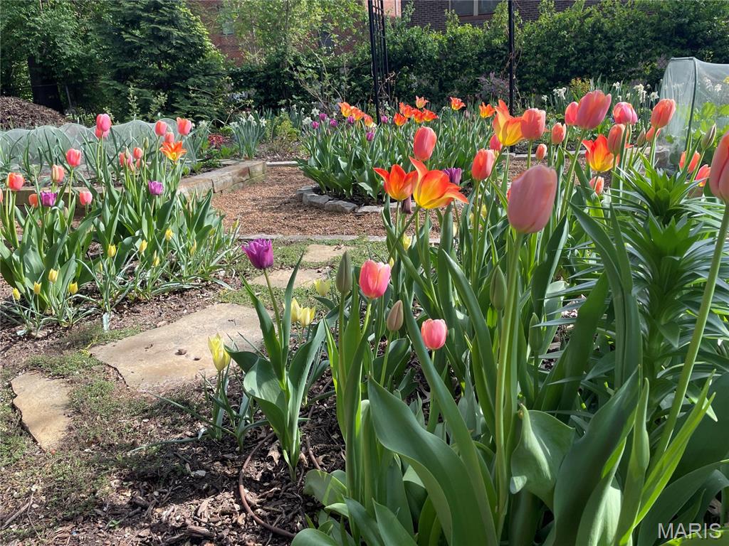 University Hills - Residential