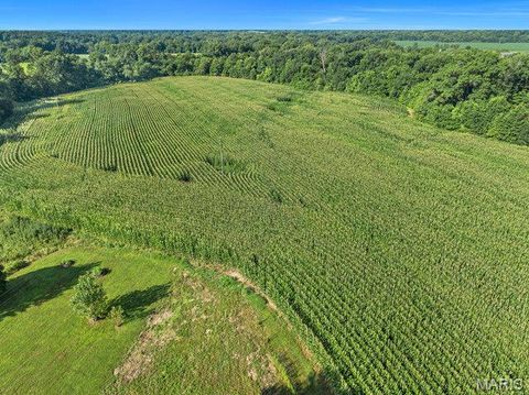 Tiny photo for 33 Penrod Road, Troy, MO 63379 (MLS # 25051920)