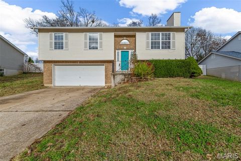 Photo of 206 Split Rail Drive, Wentzville, MO 63385 (MLS # 25078399)