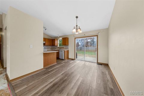 Tiny photo for 206 Split Rail Drive, Wentzville, MO 63385 (MLS # 25078399)