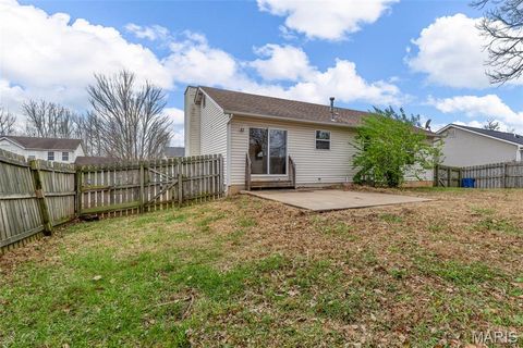Tiny photo for 206 Split Rail Drive, Wentzville, MO 63385 (MLS # 25078399)