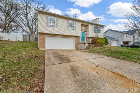 Tiny photo for 206 Split Rail Drive, Wentzville, MO 63385 (MLS # 25078399)