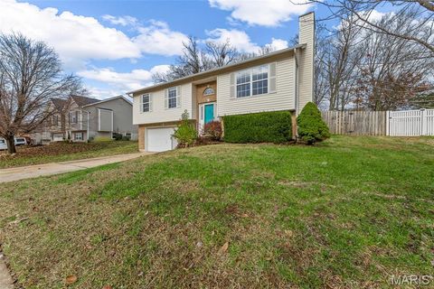 Tiny photo for 206 Split Rail Drive, Wentzville, MO 63385 (MLS # 25078399)