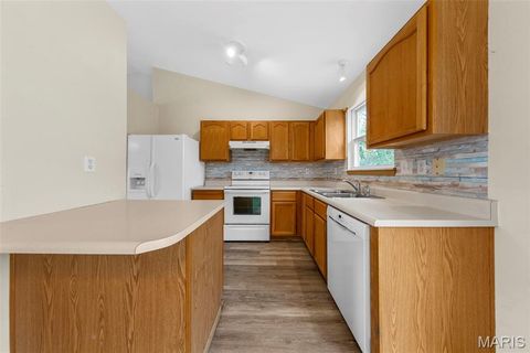 Tiny photo for 206 Split Rail Drive, Wentzville, MO 63385 (MLS # 25078399)