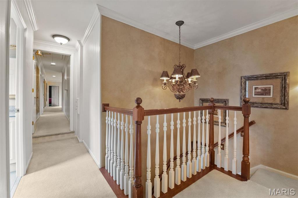 Von Schrader Estate Partition - Residential