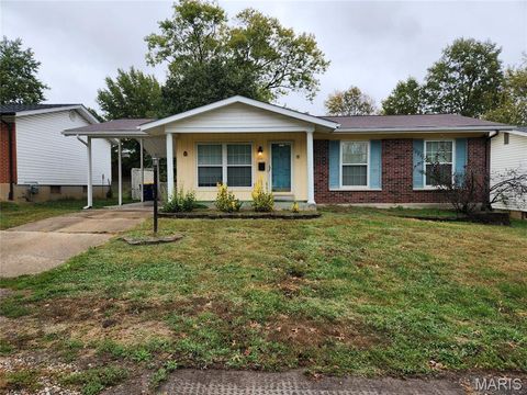 218 John Street Troy MO 63379