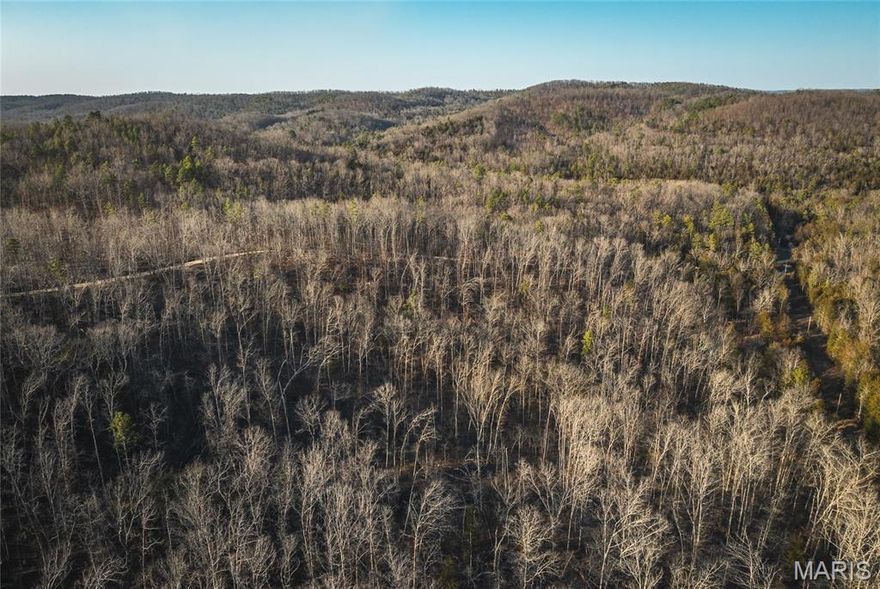 16 +/- acres located in the heart of some of Missouri’s best horseback riding, hunting, and floating country — just 2.5 miles from Eminence. This incredible property is close to Angeline Conservation Area, putting thousands of acres of additional recreational ground right at your fingertips. Ride your horse or take a short trip to the beautiful Ozark National Scenic Riverways, where you can drop a line for smallmouth bass or enjoy a relaxing float on crystal-clear waters. This area is well known for its abundant wildlife including whitetail deer, turkey, and other small game. With elk now established in Shannon County and black bears occasionally roaming the region, the outdoor opportunities here are second to none. The property was selectively logged with conservation in mind, allowing for healthy regrowth and excellent habitat. Electric borders the eastern side, making this an ideal location to build your dream home, hunting cabin, or weekend getaway. With no restrictions, you have the freedom to create the property you envision. If you’re looking for a true deer and turkey getaway in the Ozarks with unmatched access to riding trails, rivers, and conservation land, this is it.