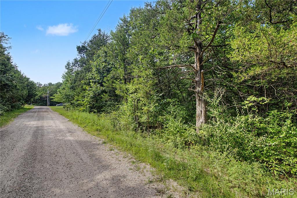 Photo of 51 Elm Drive, Dittmer, MO 63023 (MLS # 26057186)