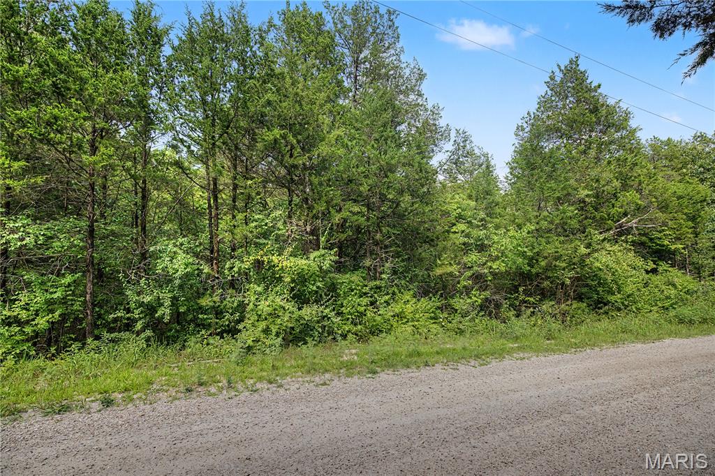 Photo of 51 Elm Drive, Dittmer, MO 63023 (MLS # 26057186)